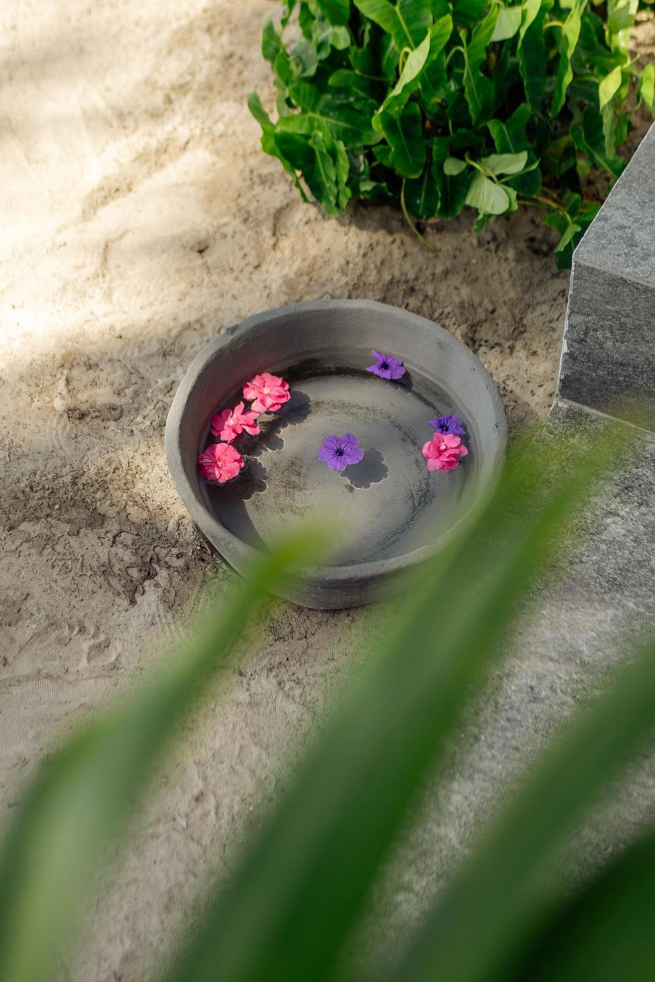 גאמביאני Savera Beach Houses מראה חיצוני תמונה